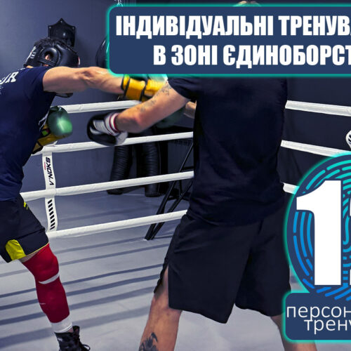 Індивідуальні тренування в зоні єдиноборств 12 занять